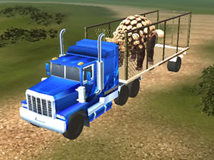 Dino Transport